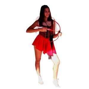 Cupid Renaissance Velvet Bodice,  Reversibles to Black Cotton, Skirt, Wings